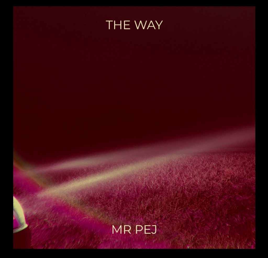 DOWNLOAD Mp3: Mr Pej - The Way