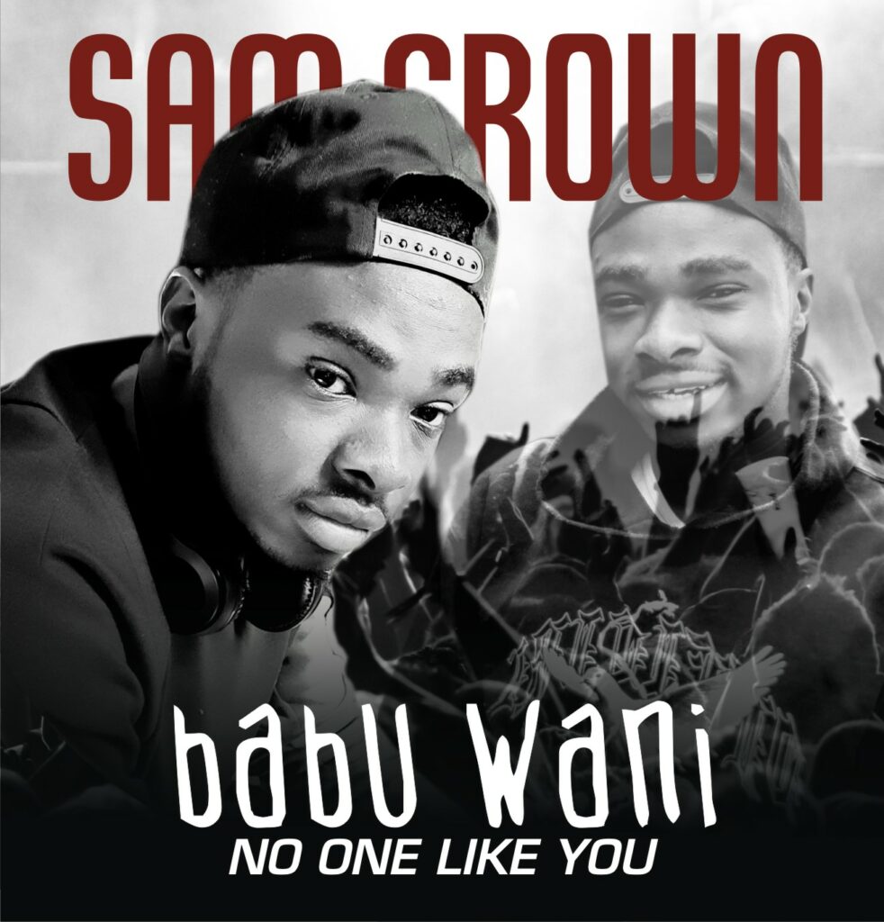 DOWNLOAD Mp3: Sam crown MB - Babu wani (no one)