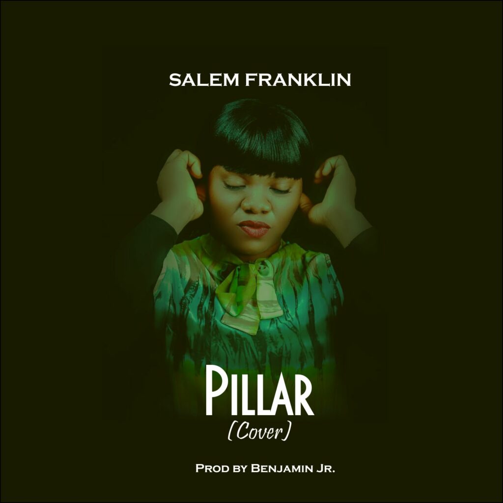 DOWNLOAD Mp3: Salem Franklin - Pillar (cover)